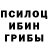 Галлюциногенные грибы MAGIC MUSHROOMS Area one