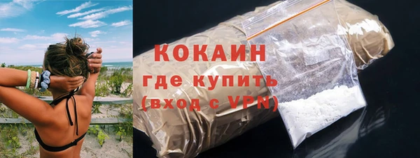 стаф Каменка