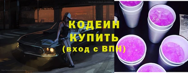 шишки Каменногорск
