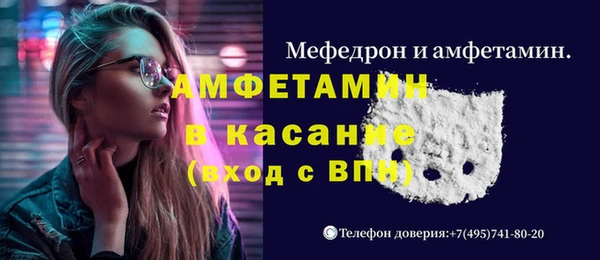 стаф Каменка