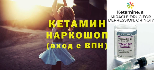 шишки Каменногорск