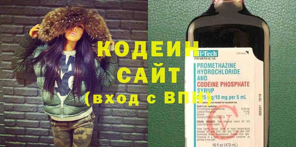 стаф Каменка