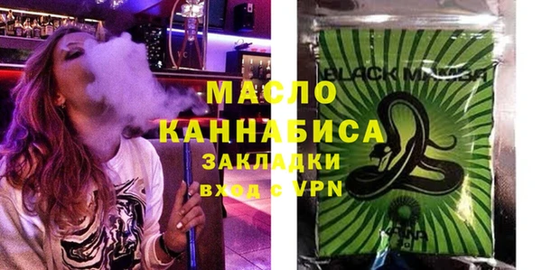 стаф Каменка