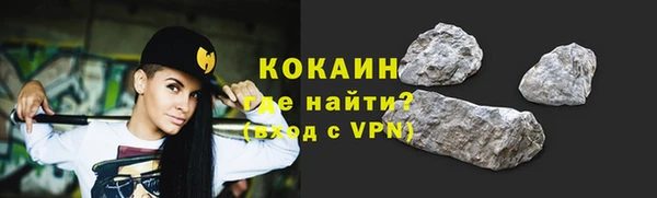стаф Каменка