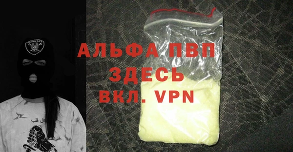 шишки Каменногорск