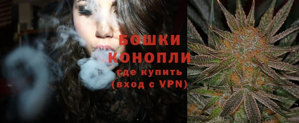 шишки Каменногорск
