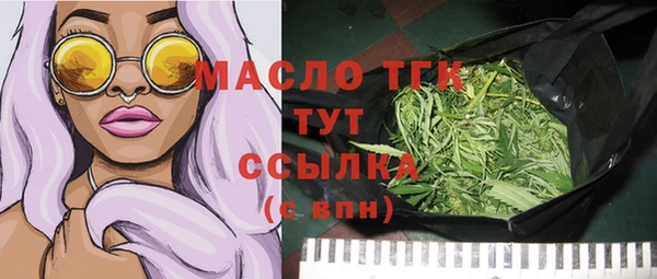 стаф Каменка