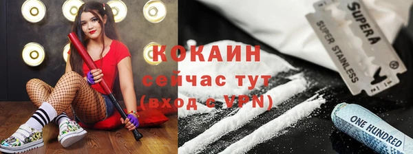 шишки Каменногорск