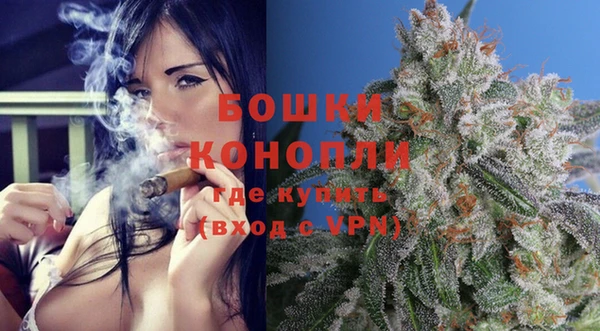 шишки Каменногорск