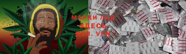 стаф Каменка