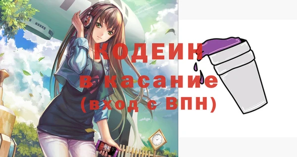 шишки Каменногорск