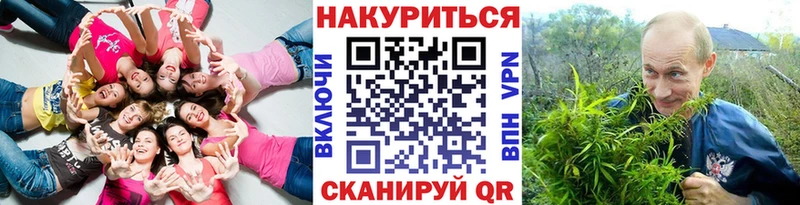 Бошки Шишки план  Купить где  Каргат 